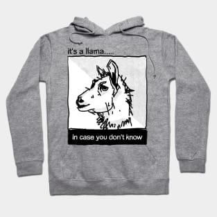 in case you don't know Hoodie
